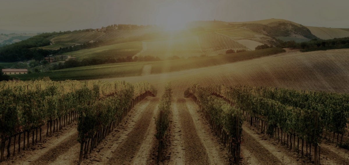 Cotati HVAC Services