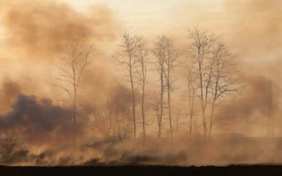 How to Prep Your HVAC System for Wildfire Smoke Season in Northern California