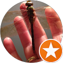 Brian P. profile picture